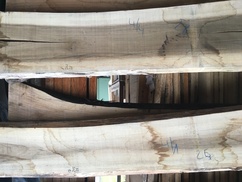 Nussbaum - Schnittholz franz. 54 mm 240 x 30 cm SX Edelholz 